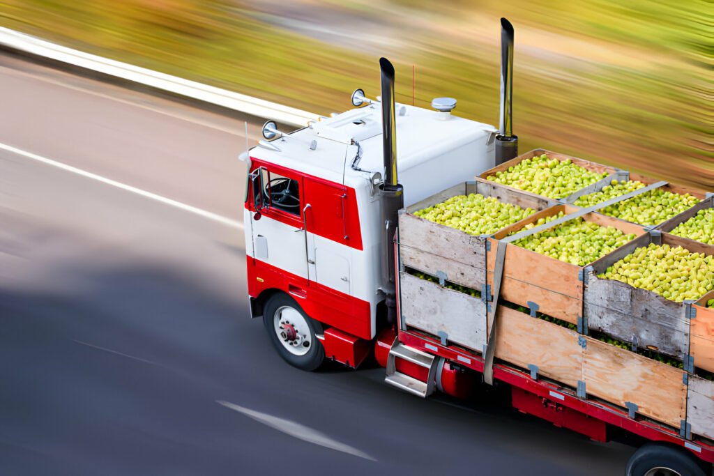Transport routier de cargaison de fruits et légumes